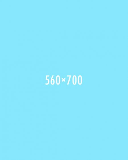 Aliquam rhoncus Lorem Ipsum