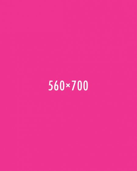 Aliquam rhoncus Lorem Ipsum